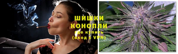 винт Инта