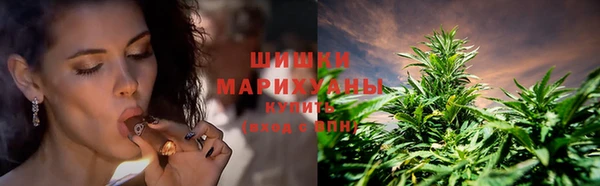 ГАЛЛЮЦИНОГЕННЫЕ ГРИБЫ Каменногорск
