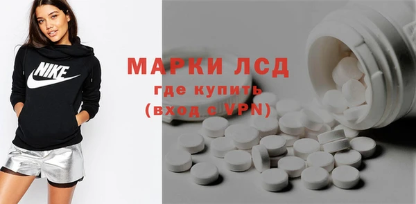 крисы Каменка