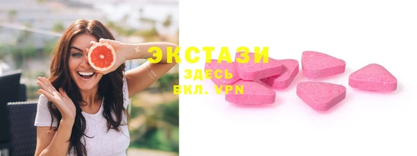 крисы Каменка