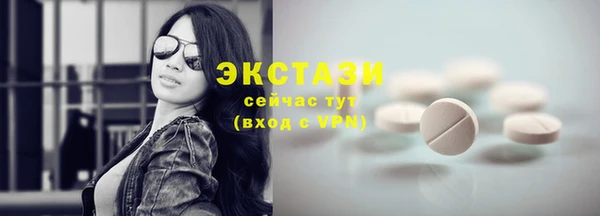 крисы Каменка