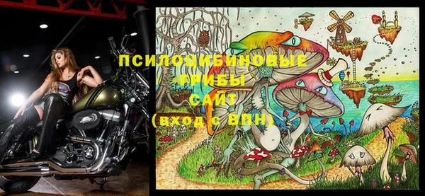 крисы Каменка