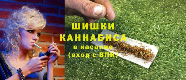 ГАЛЛЮЦИНОГЕННЫЕ ГРИБЫ Каменногорск